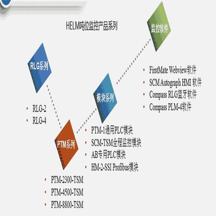 雨花臺HELM噸位儀模塊PTM系列噸位監(jiān)視系統(tǒng)HELM